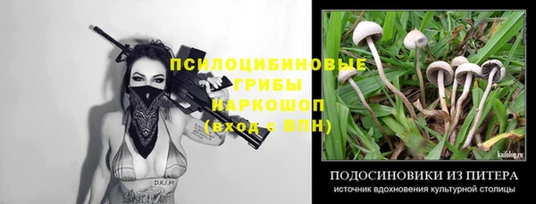 молекула духа Щучье