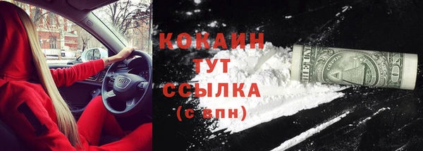 спиды Новозыбков