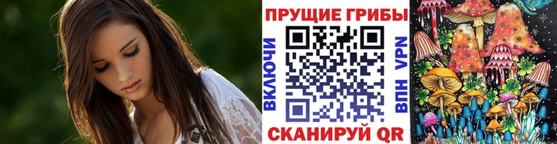 магазин продажи наркотиков  Ясный  Псилоцибиновые грибы прущие грибы 